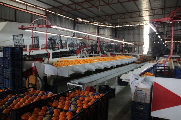 42 bin Ton Civarında Yurt Dışına Sevkiyat Yapıldı.