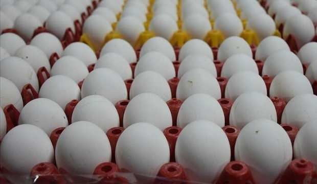 Yumurta Fiyat Artışının Arkasında Yem Maliyetleri Var