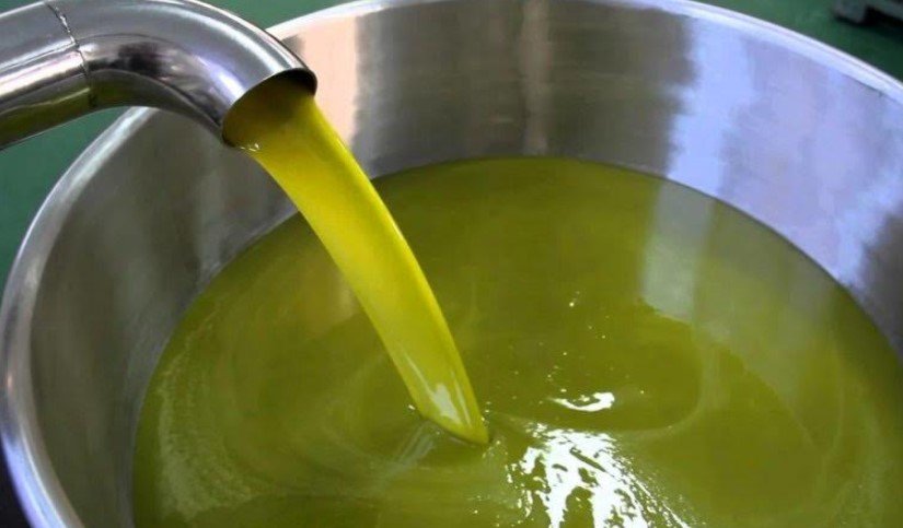 Dökme Zeytinyağında İhracat Yasağına Tepki Var