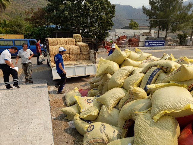 BÜYÜKŞEHİRDEN YANGIN MAĞDURU ÜRETİCİLERE 368 TON HAYVAN BESİNİ DESTEĞİ