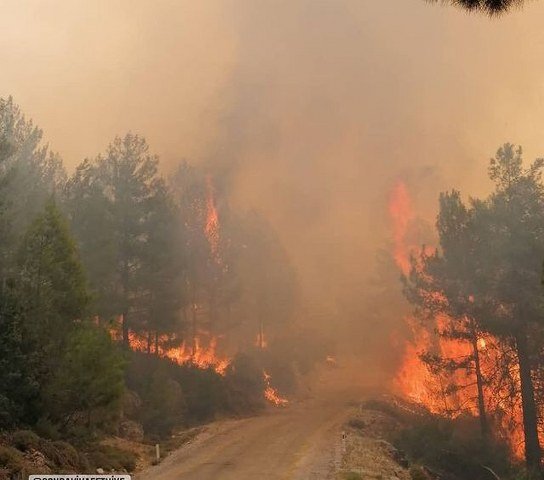 Cennet Gibi Muğla Cehennem Gibi Oluyor