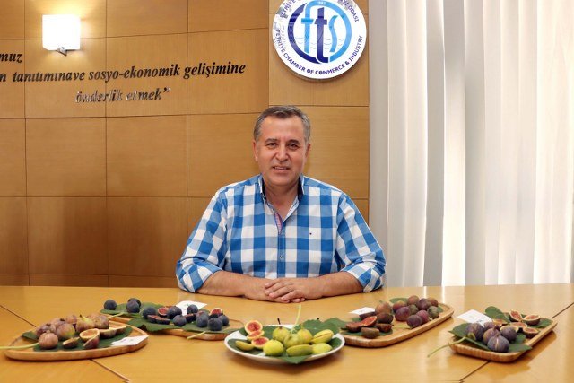 Fethiye ve Seydikemer’de Üstün İncir Tipleri Belirleniyor