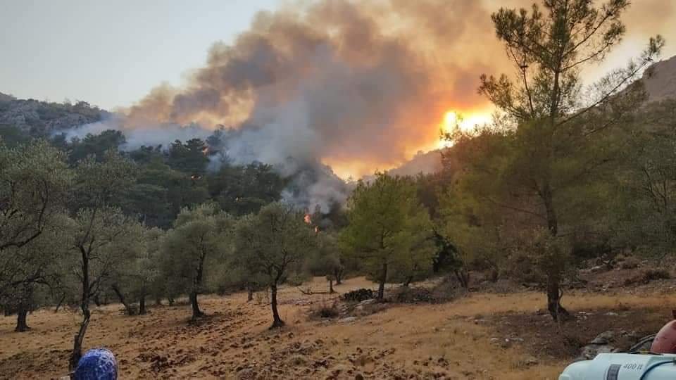 SEYDİKEMER İLÇESİNDE YİNE 3 AYRI YERDE ORMAN YANGINI