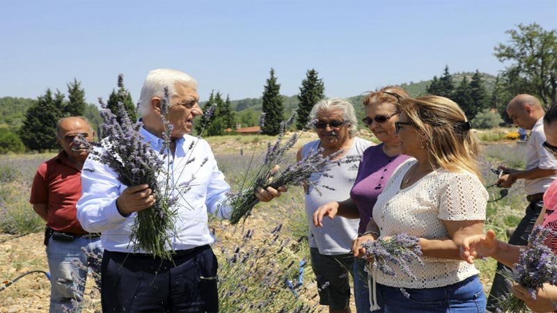 97 Bin 500 Adet Tıbbi Aromatik Fidanı Dağıtıldı