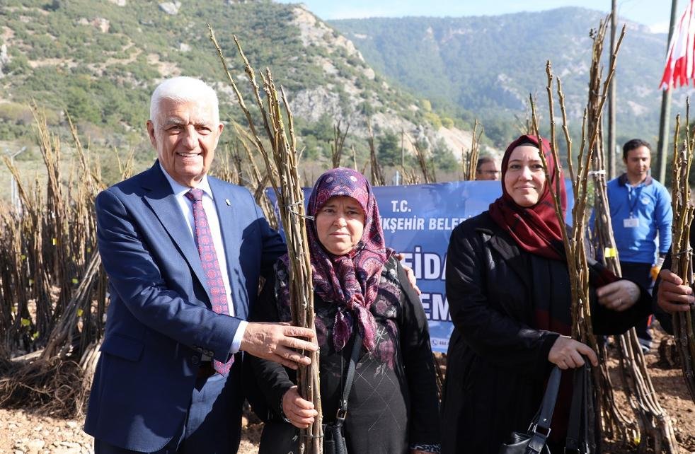 Büyükşehir Meyve Fidanı Desteğine Başlıyor
